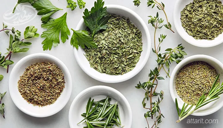 نگهداری سبزی خشک در یخچال و فریزر
