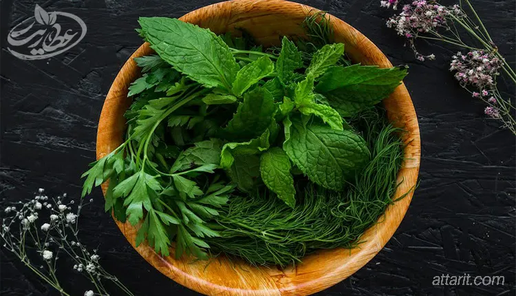 خرید عرق نعناع برای لاغری