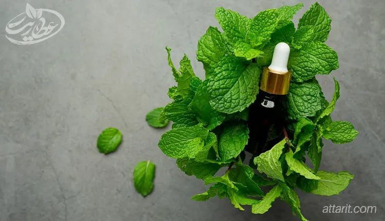 طریقه مصرف عرق نعنا برای لاغری