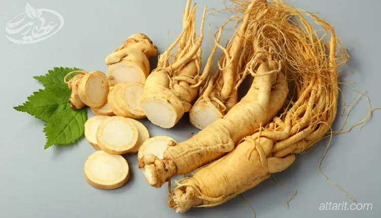 جینسینگ برای چاقی و افزایش وزن