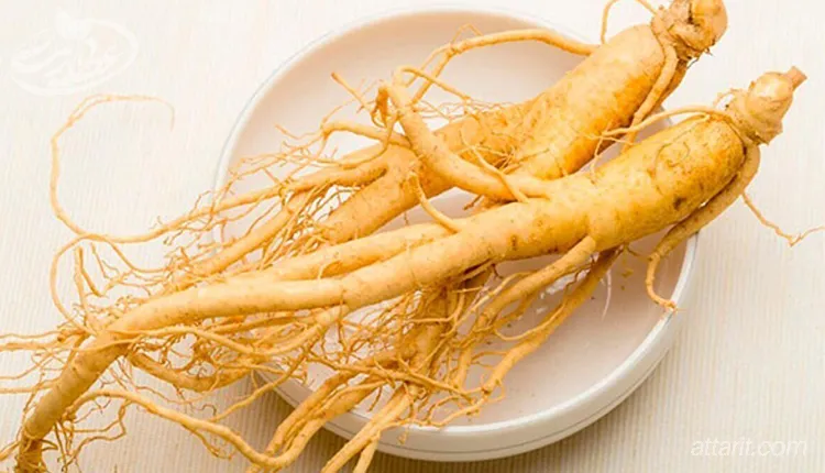 روش مصرف جینسنگ برای افزایش وزن و چاقی