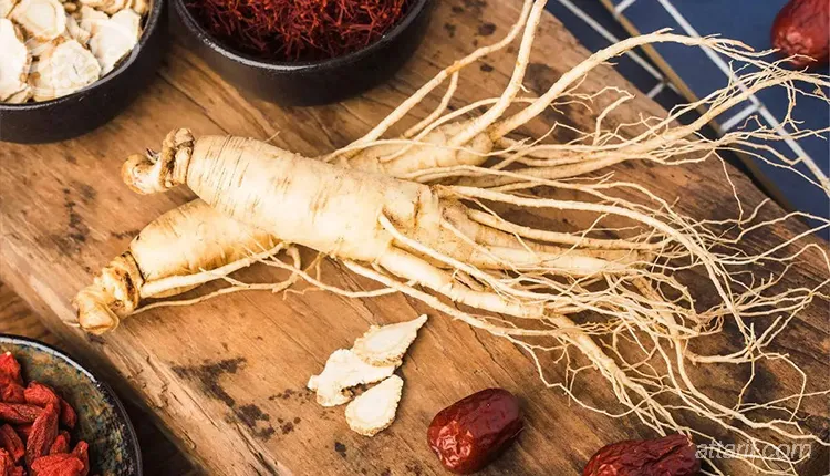 طریقه مصرف جینسنگ برای بهبود کیفیت اسپرم