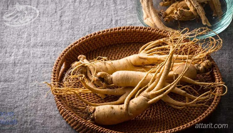 طریقه مصرف جینسینگ برای مردان+ طریقه مصرف جینسینگ برای نعوظ