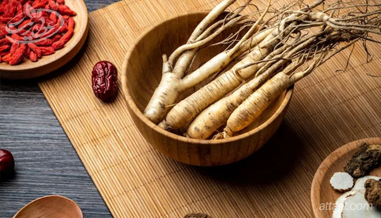 طریقه مصرف جینسینگ برای اسپرم