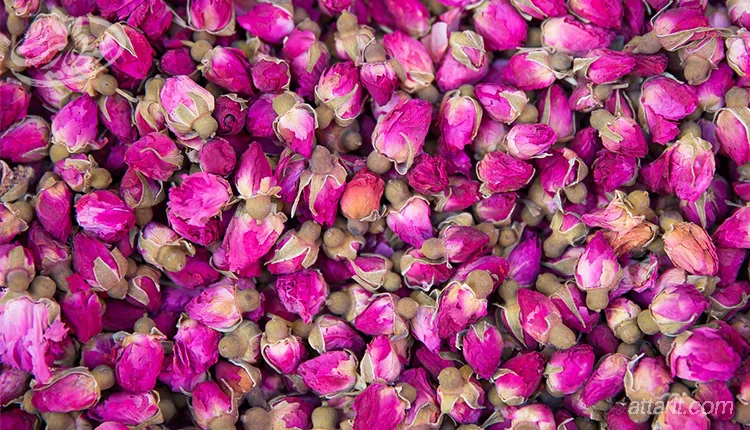 محمدی برای درمان یبوست