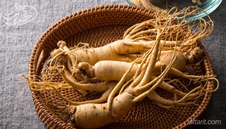 بهترین روش مصرف جینسینگ برای نعوظ و زودانزالی