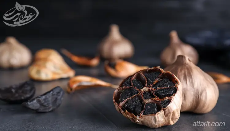 خواص سیر سیاه برای زود انزالی